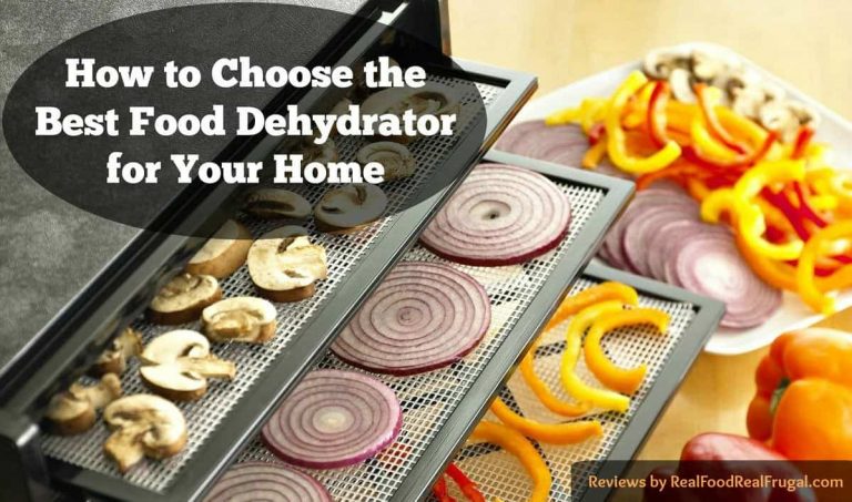 Finding The Best Food Dehydrator – Updated Reviews for 2021