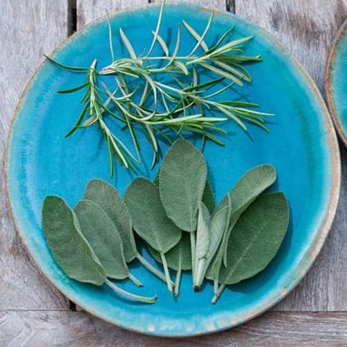 Five Fun Ways to Use a Food Dehydrator Real Food, Real Frugal