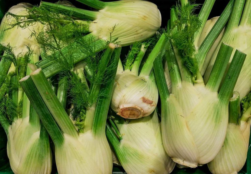 bunches of celery root at the market