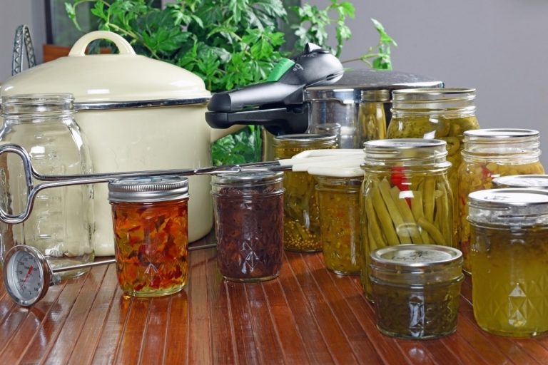 What Supplies and Equipment Do You Need for Home Canning?