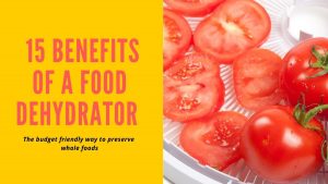 15 benefits of a food dehydrator - the budget friendly way to preserve whole foods