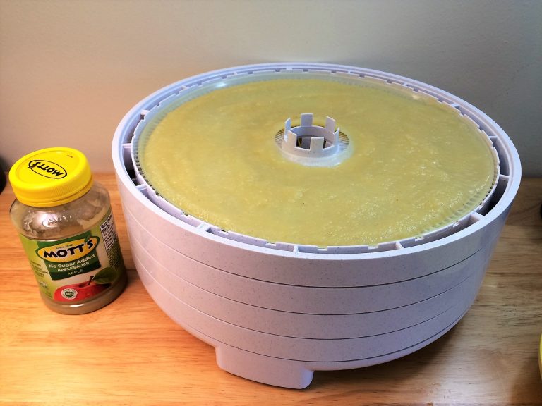 Make Your Own Applesauce Fruit Leather In The Dehydrator